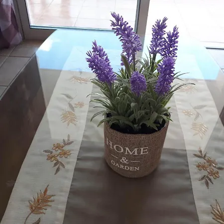 Amelia Two Bedroom - 201