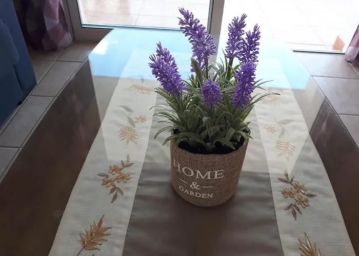 Amelia Two Bedroom - 201